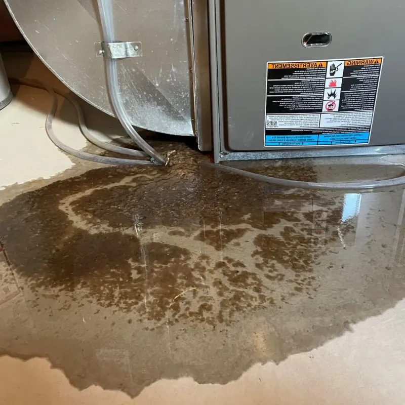 Pipe Burst and Leak Restoration in Fillmore County, MN