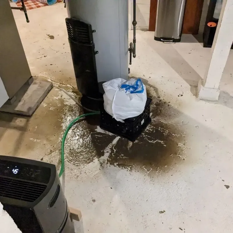 Sewage Backup Cleanup Service in Fillmore County, MN